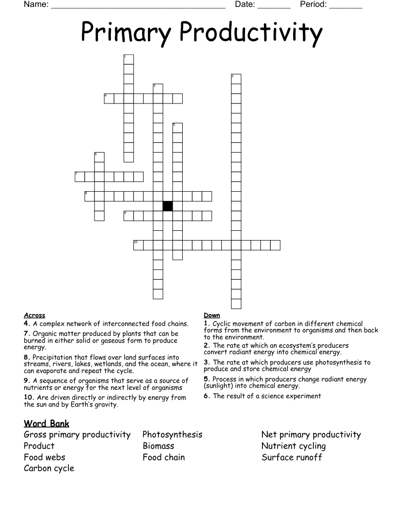 Primary Productivity Crossword WordMint