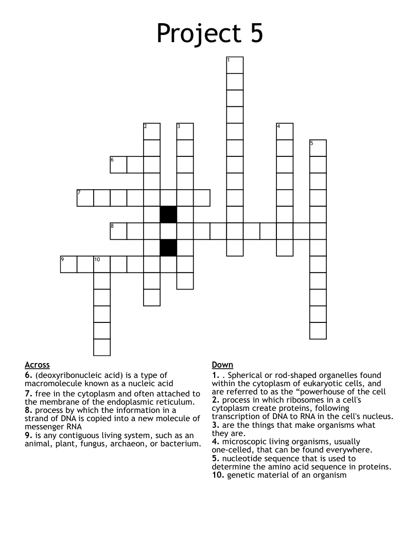Project 5 Crossword WordMint