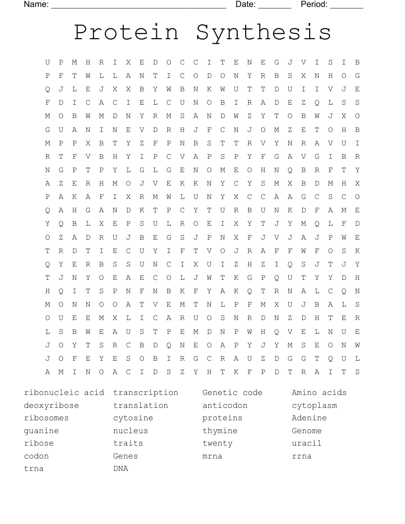 DNA Replication and Protein Synthesis Word Search WordMint