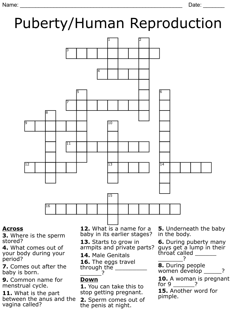 Puberty/Human Reproduction Crossword WordMint