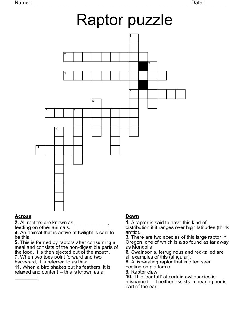 Arctic Bird Crossword