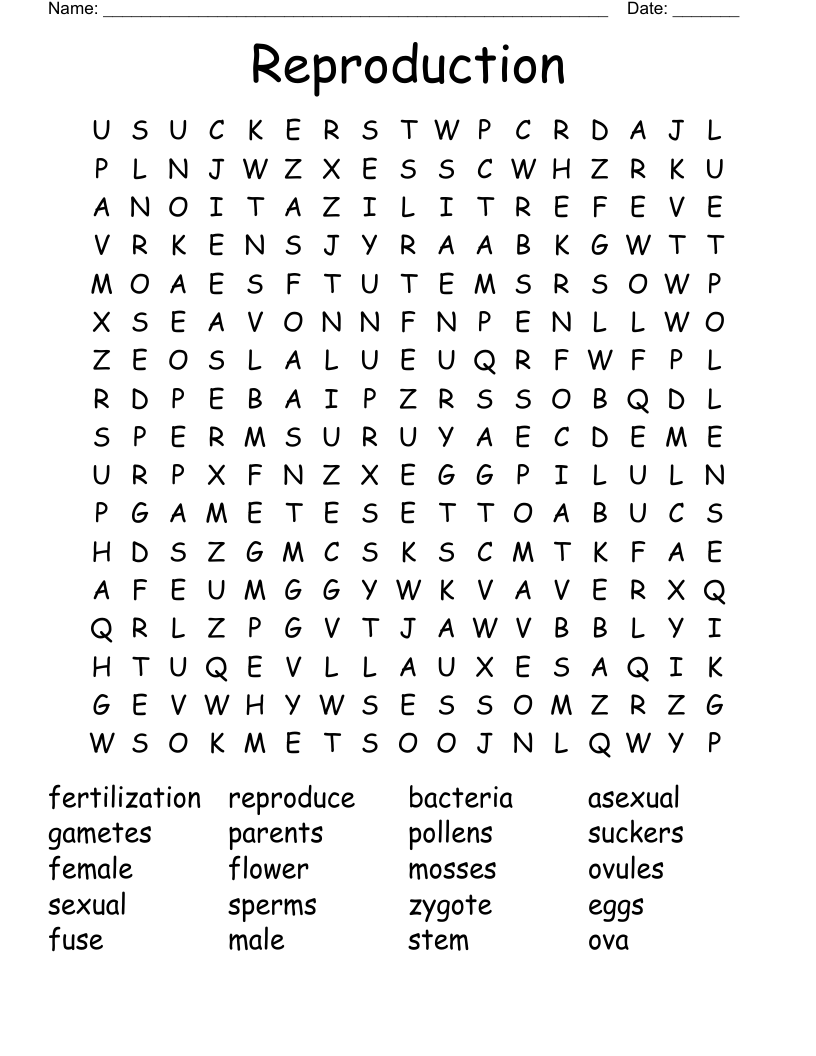 Reproduction Word Search WordMint