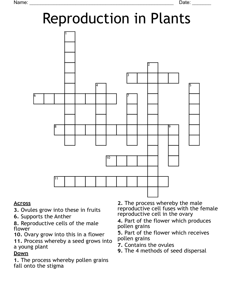 Forensic Botany Word Search WordMint