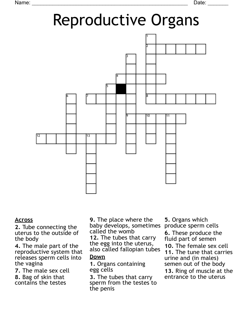 Male/Female reproduction Crossword WordMint