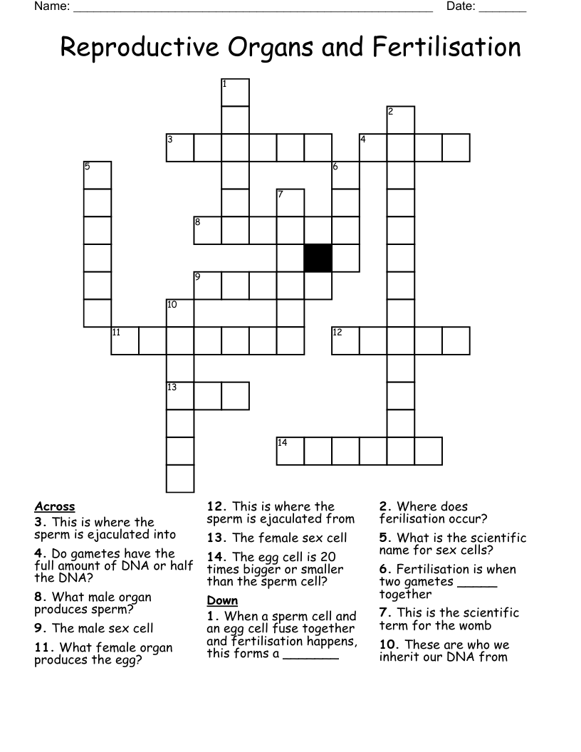 Reproductive Organs and Fertilisation Crossword WordMint