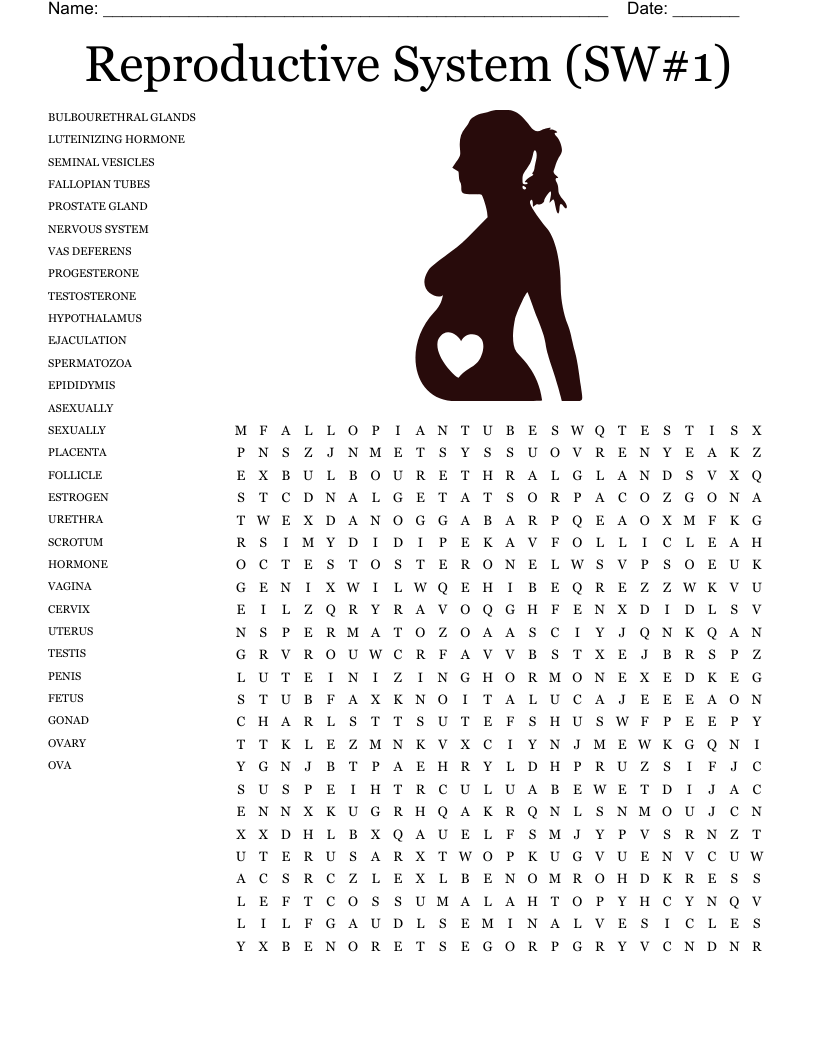 reproductive system Word Search - WordMint
