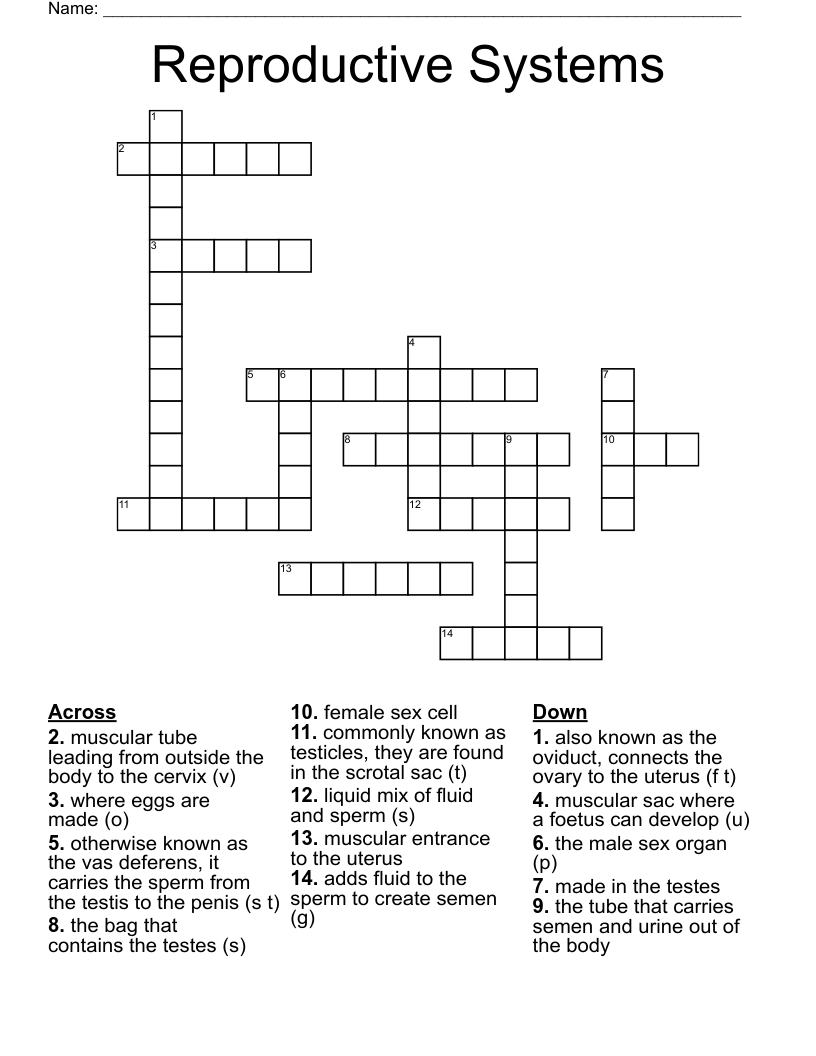 Reproductive Systems Crossword WordMint