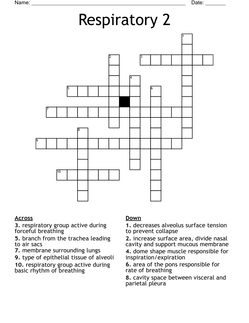Respiratory 2 Crossword WordMint
