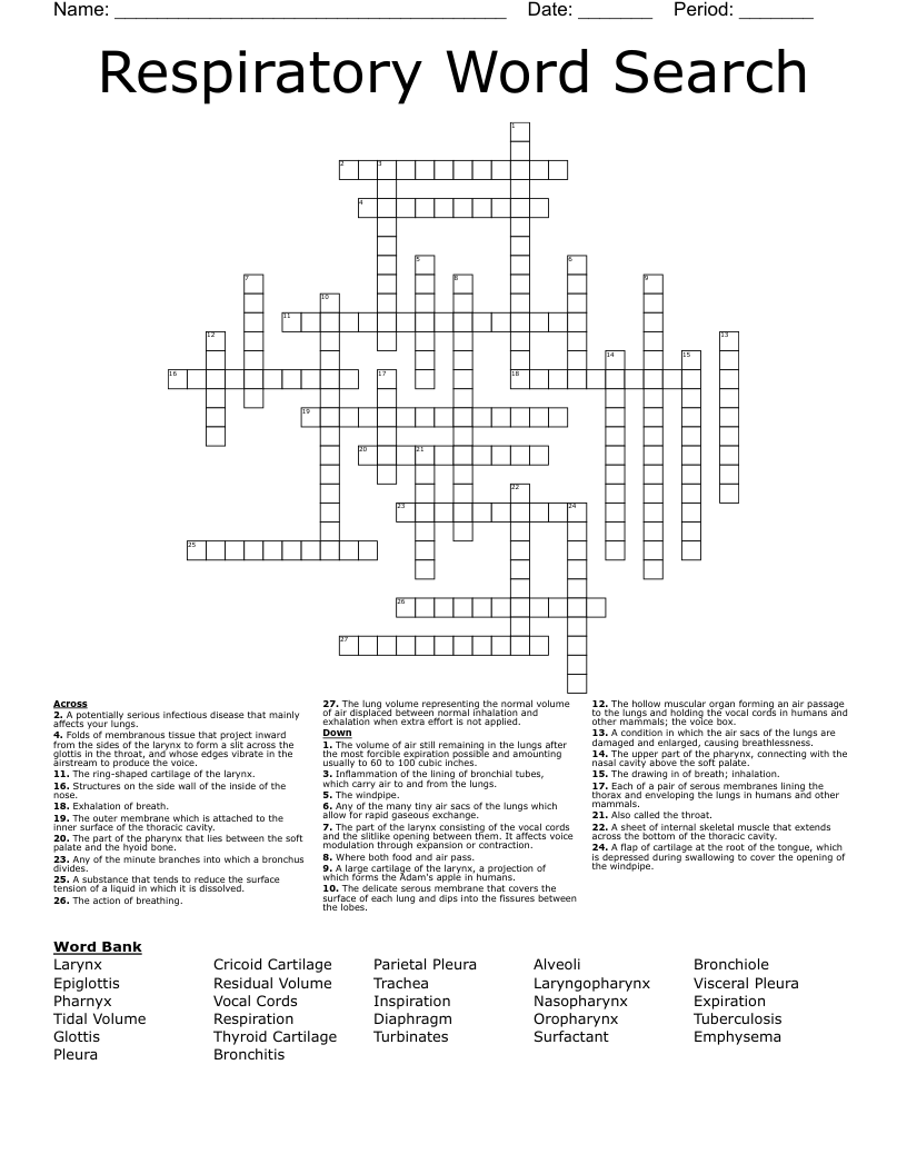 Respiratory Word Search Crossword WordMint