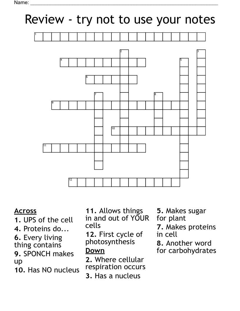 Review try not to use your notes Crossword WordMint