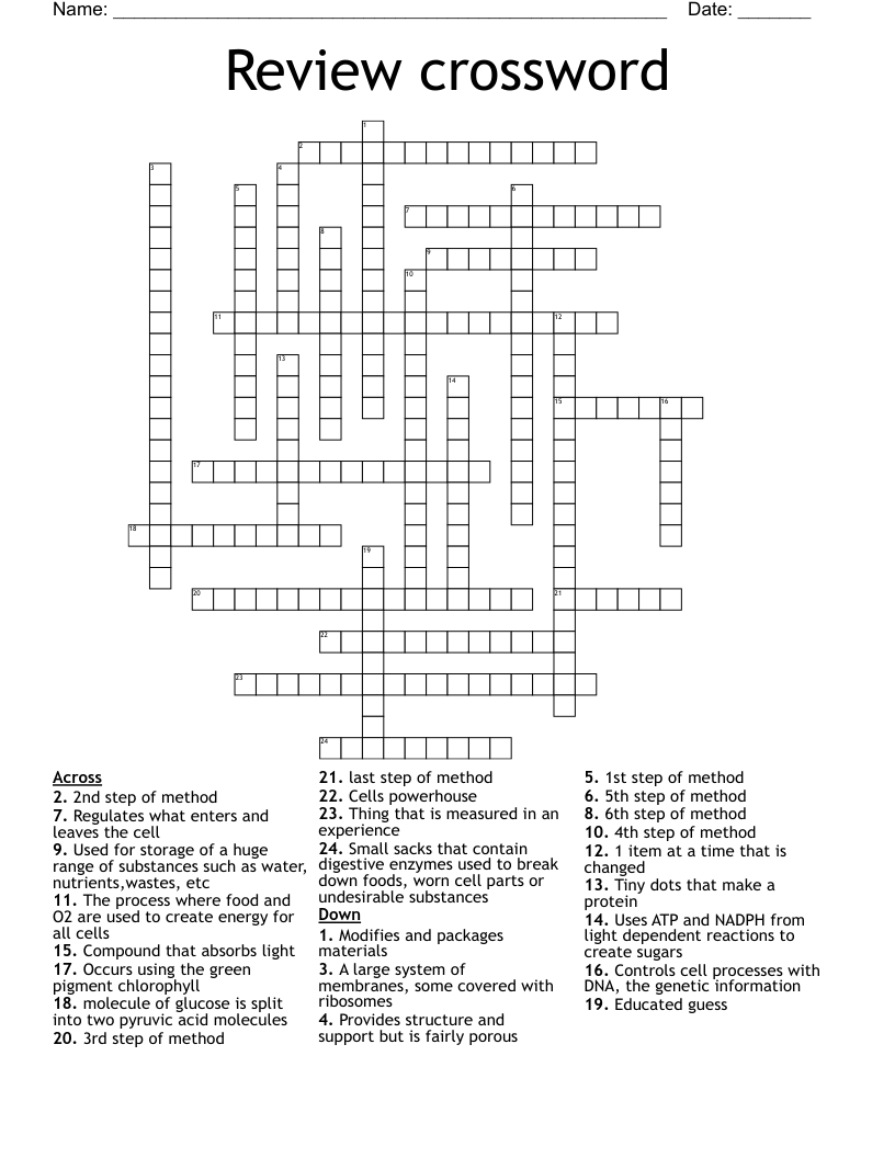 Review crossword - WordMint