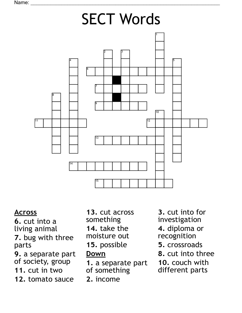 SECT Words Crossword WordMint