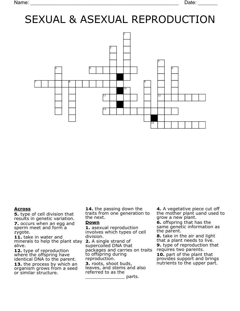 SEXUAL & ASEXUAL REPRODUCTION Crossword WordMint