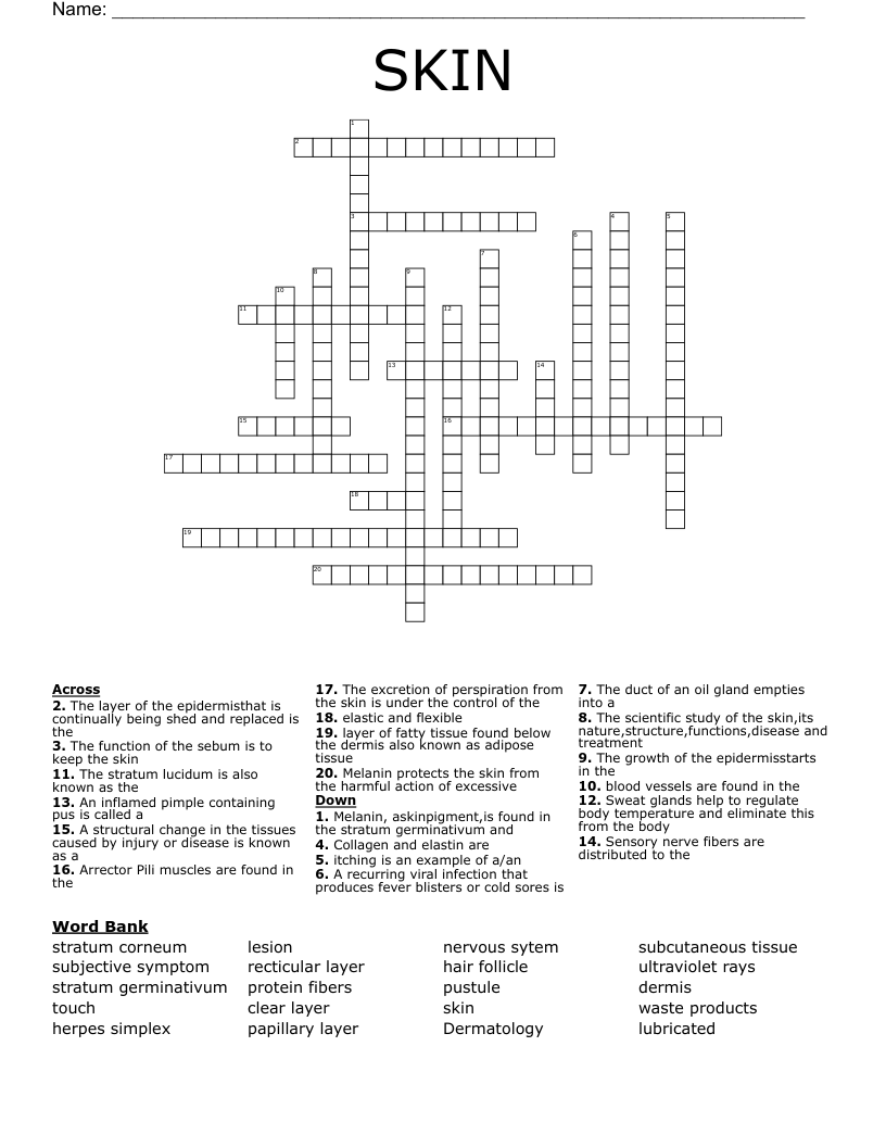 SKIN Crossword WordMint