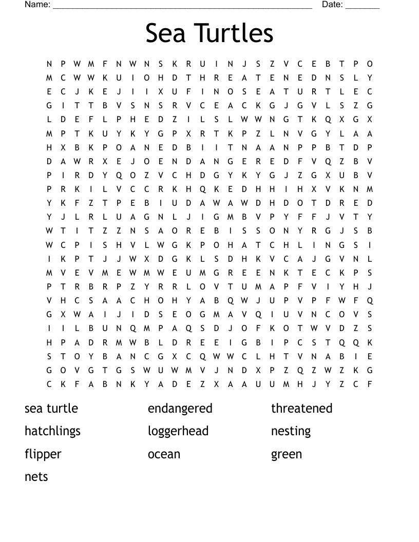 Sea Turtles Word Search WordMint