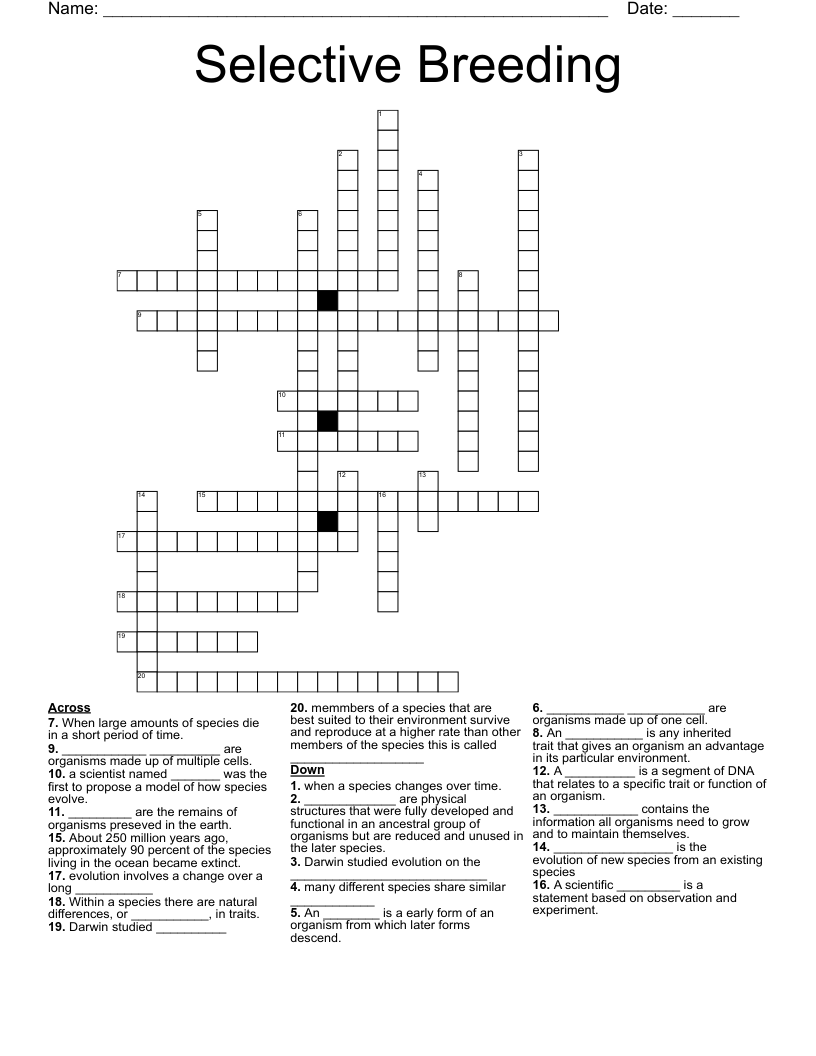Selective Breeding Crossword WordMint