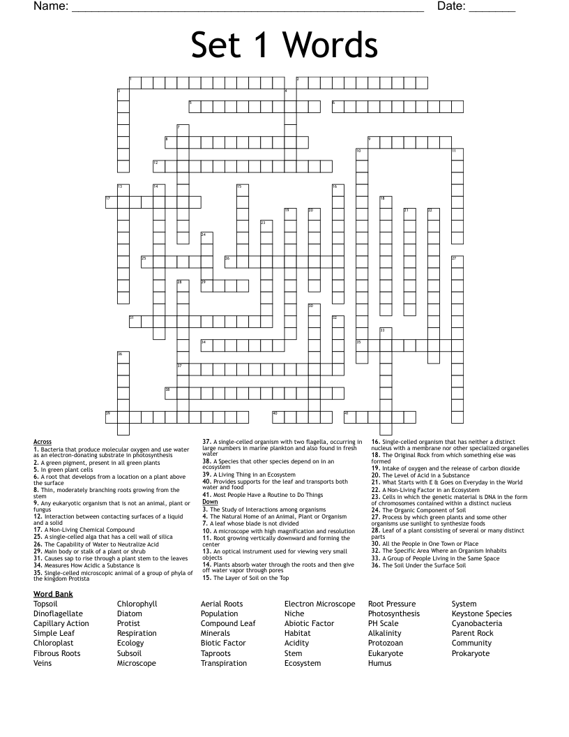 Set 1 Words Crossword WordMint