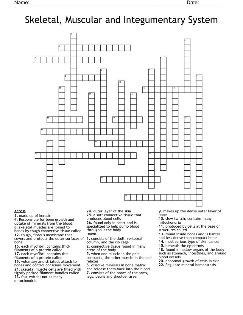 Muscles Often Compared To A Washboard Crossword prntbl