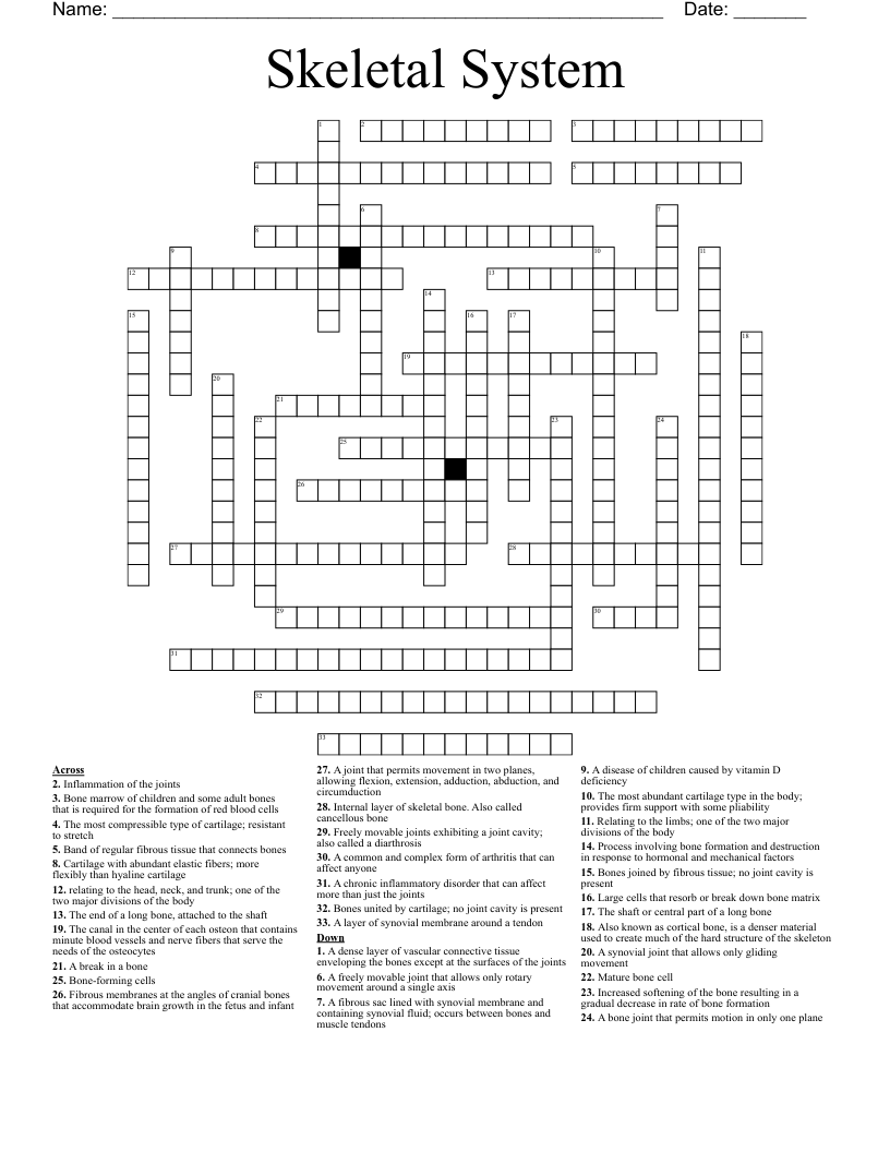Skeletal System Crossword WordMint