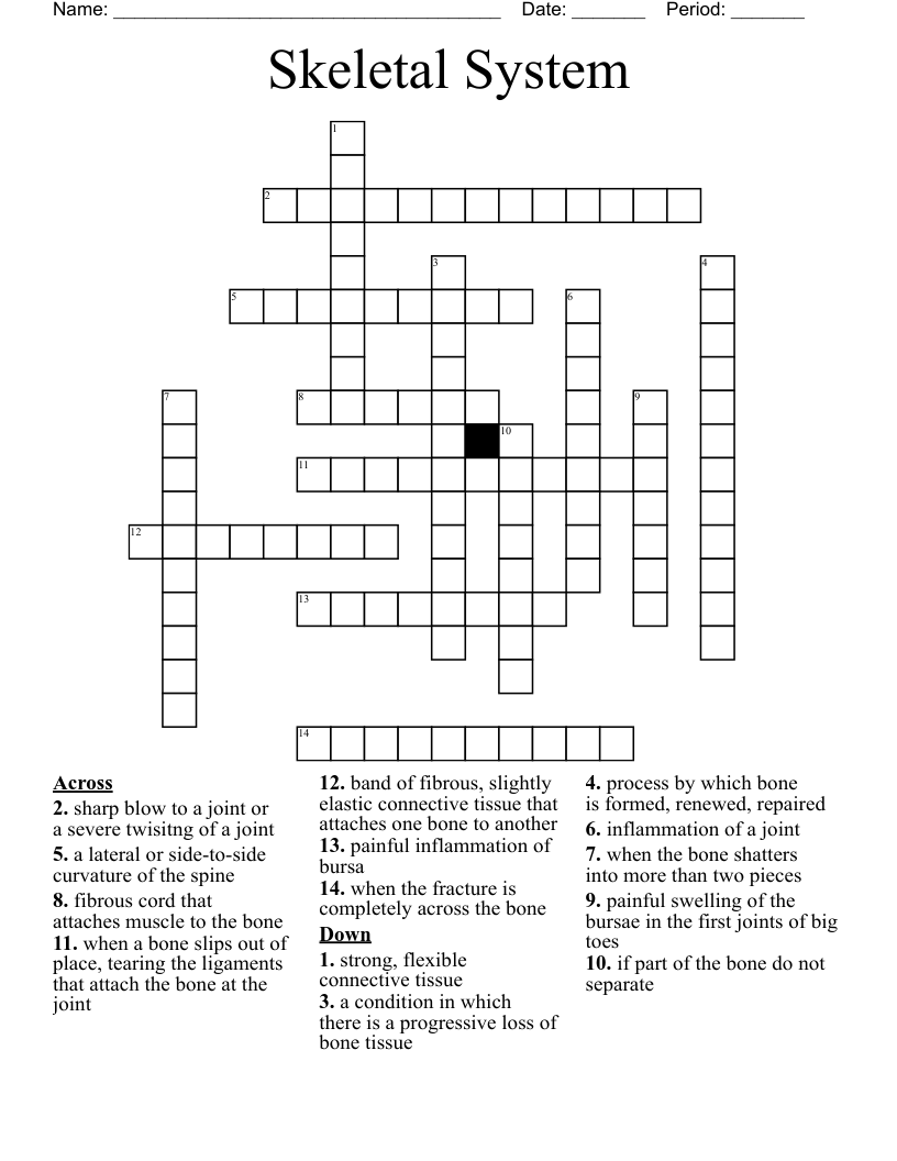 Skeletal System Crossword WordMint
