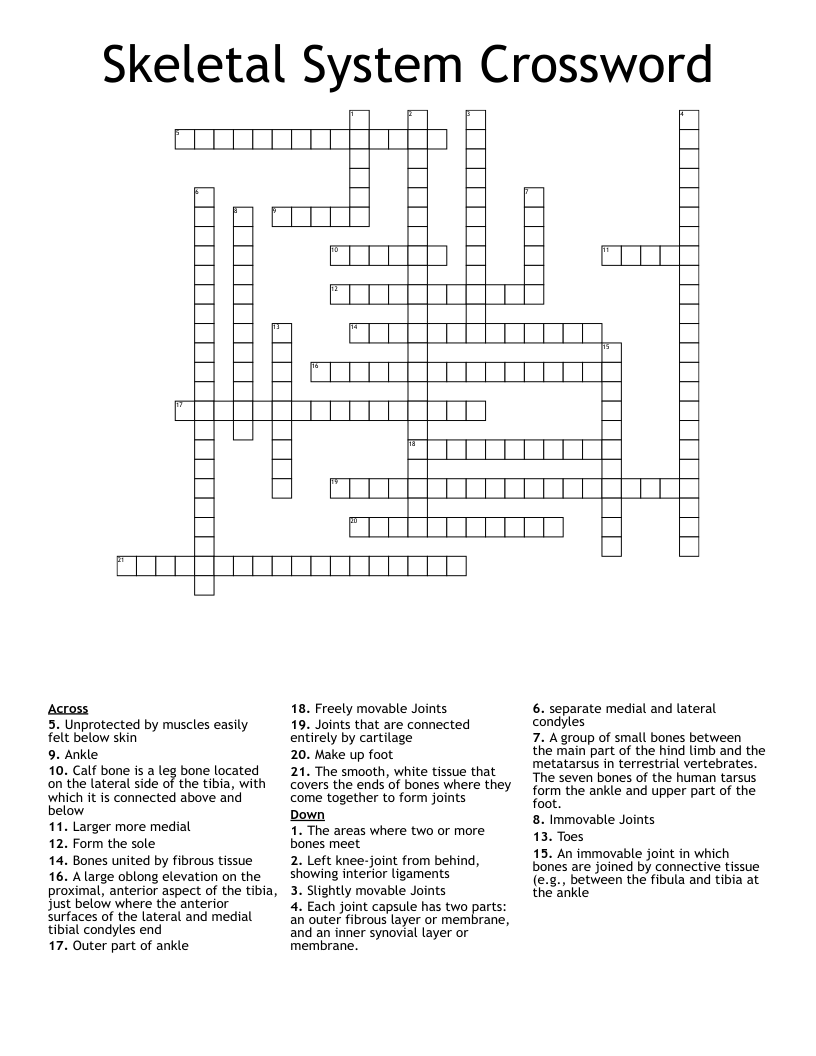 Skeletal System Crossword WordMint