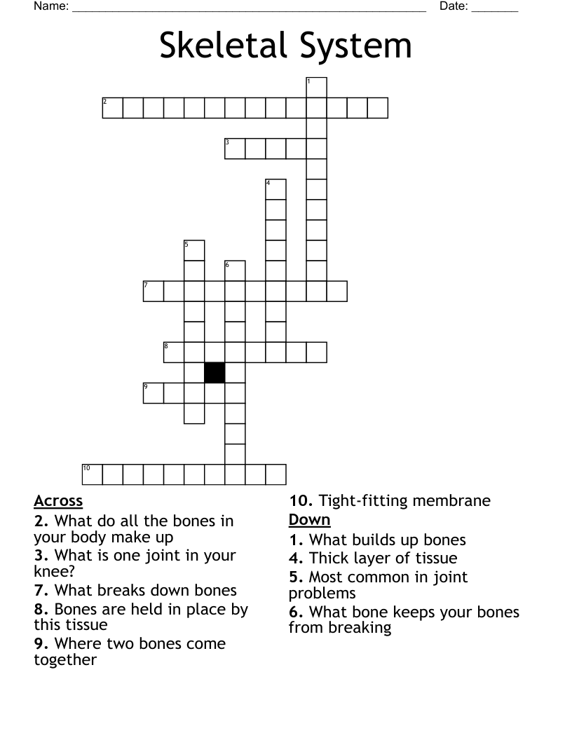 Skeletal System Crossword WordMint