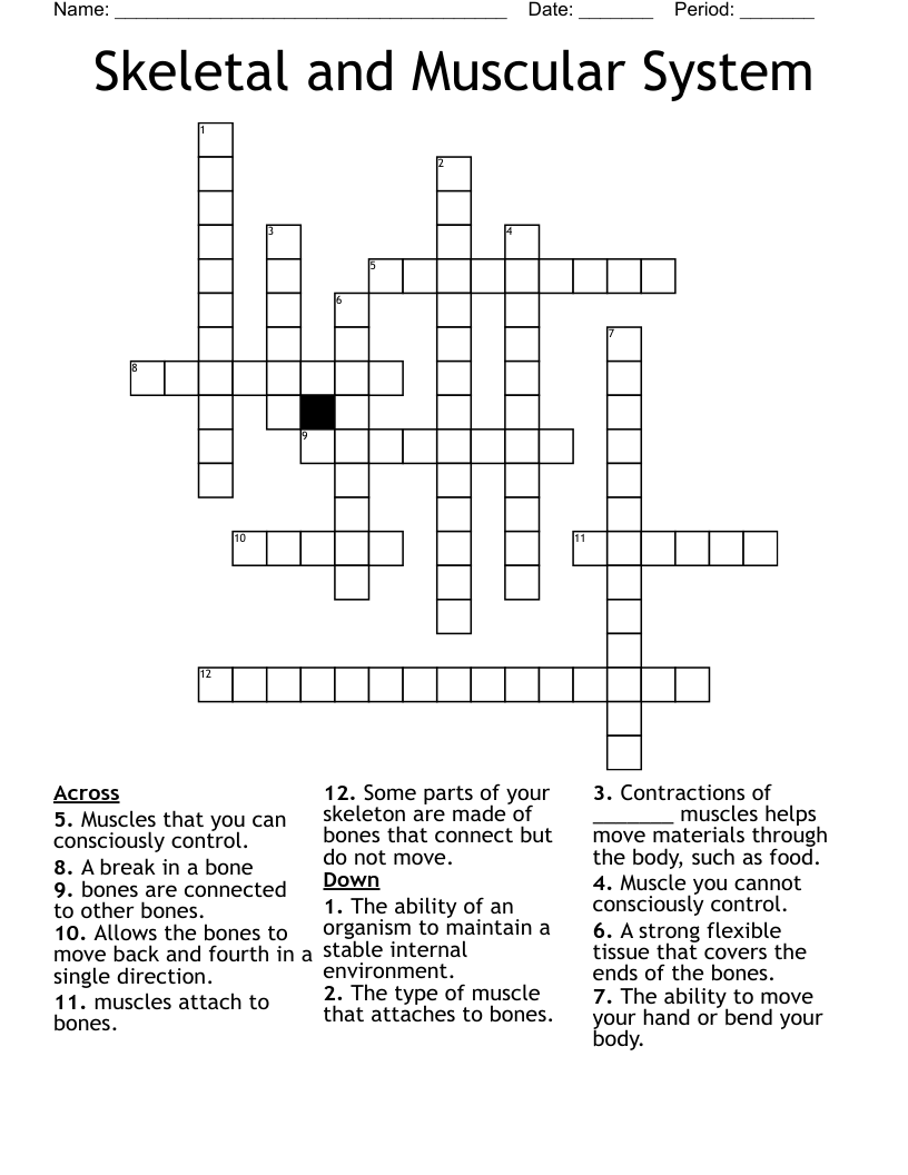 Skeletal and Muscular System Crossword WordMint
