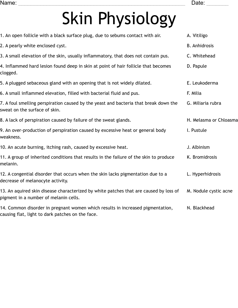 Skin Physiology Worksheet WordMint