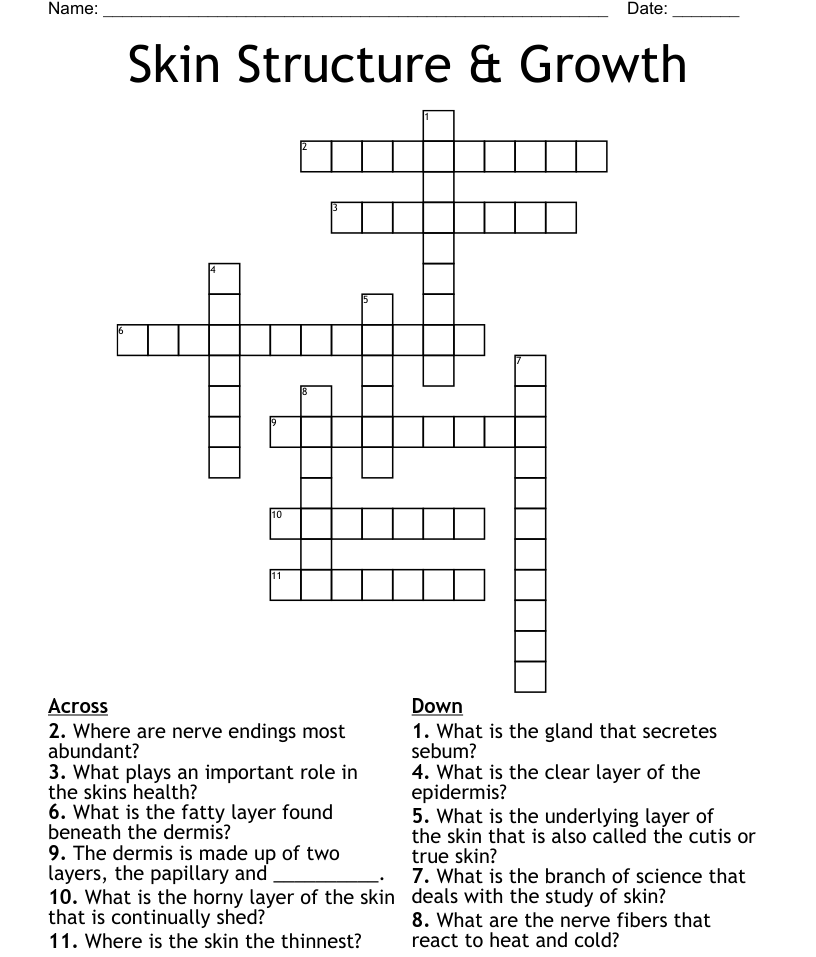 Skin Structure & Growth Crossword WordMint