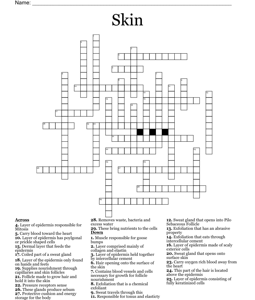 Skin Crossword WordMint