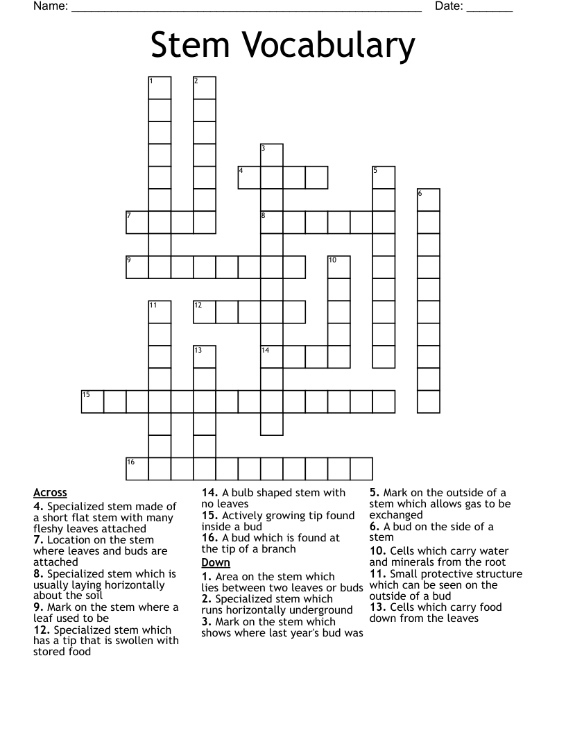 Stem Vocabulary Crossword WordMint