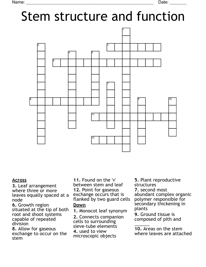 Botany Crossword WordMint