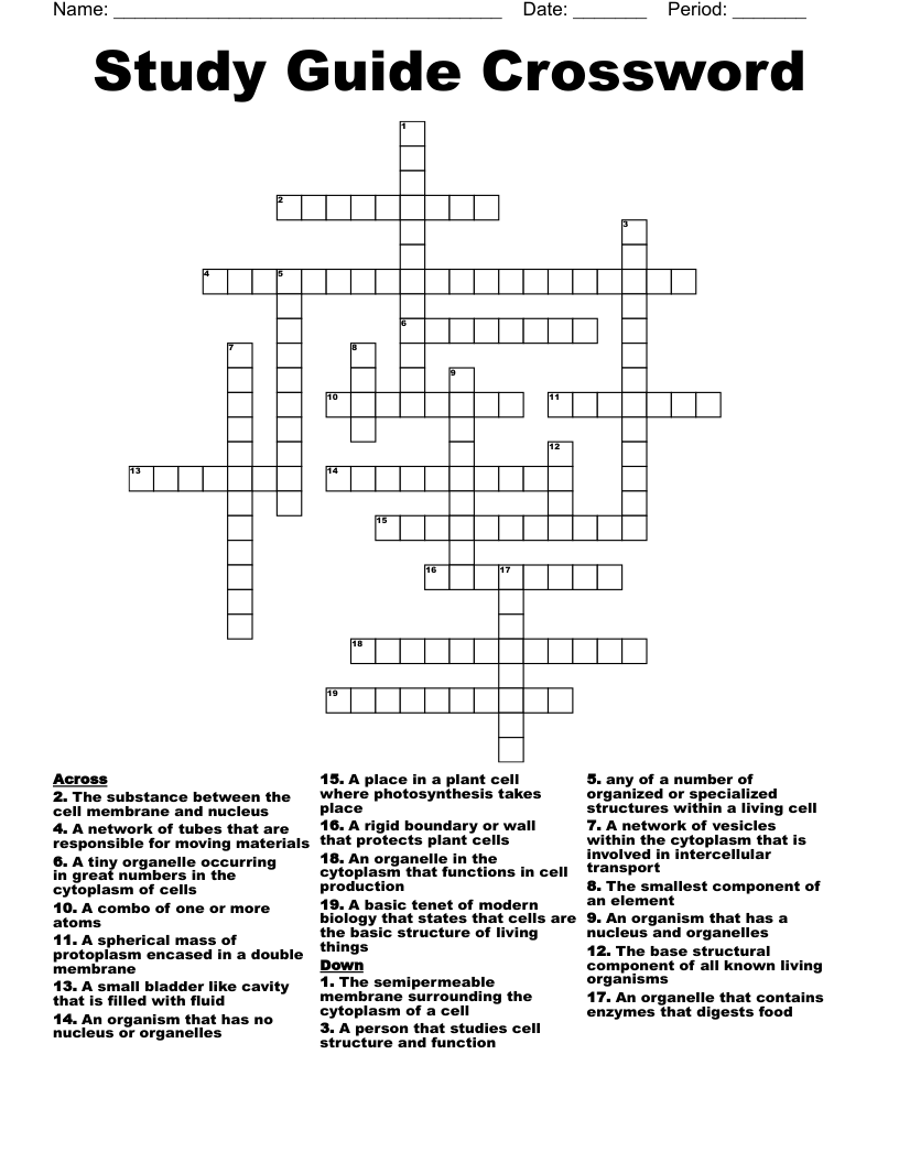 Study Guide Crossword WordMint
