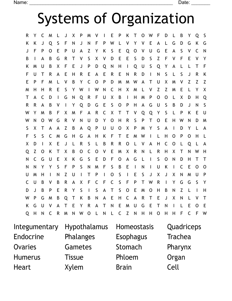 Systems of Organization Word Search WordMint