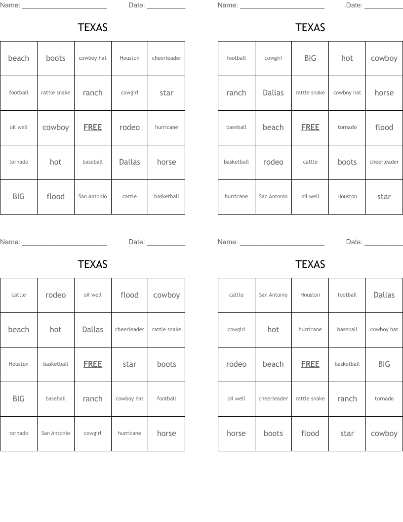 TEXAS Bingo Cards WordMint