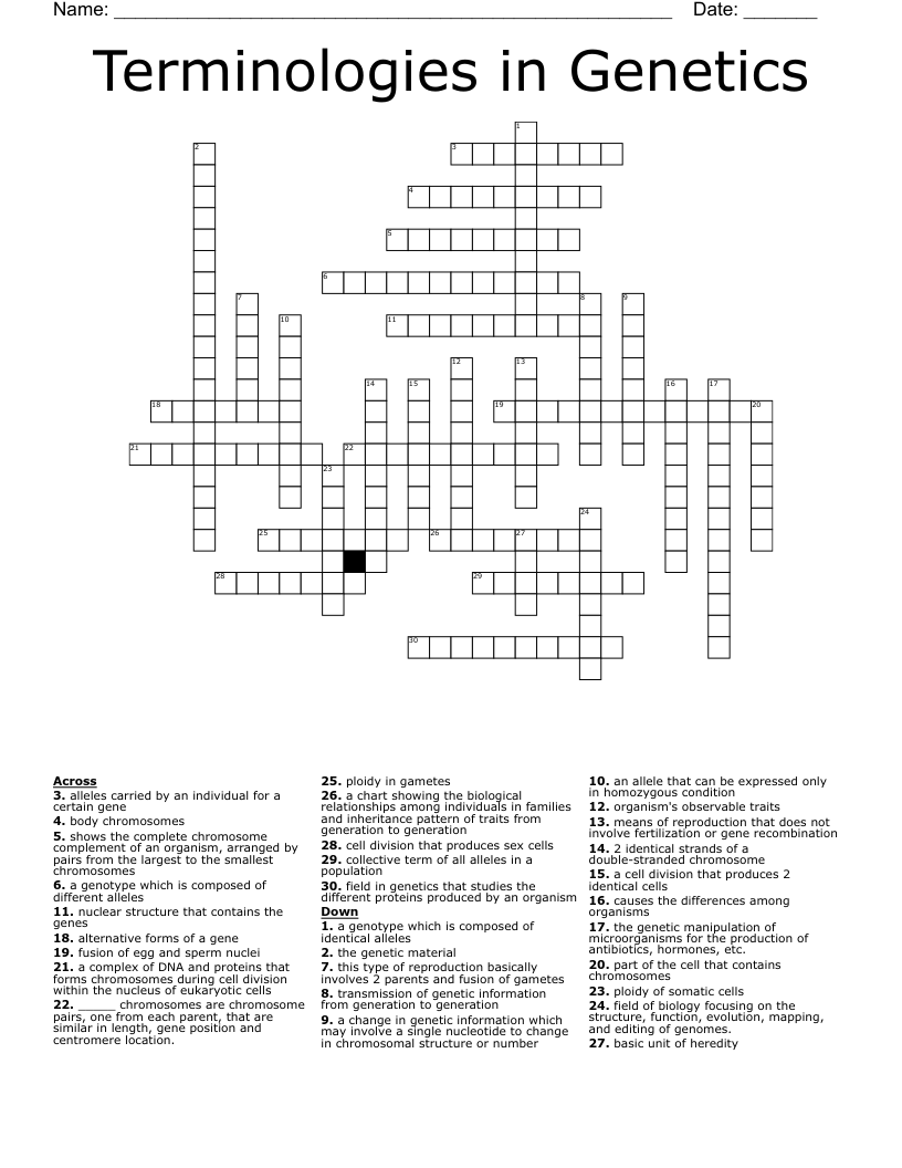 Terminologies in Crossword WordMint