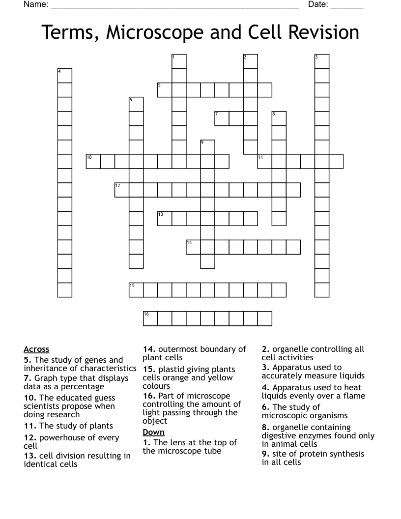 Terms, Microscope and Cell Revision Crossword WordMint