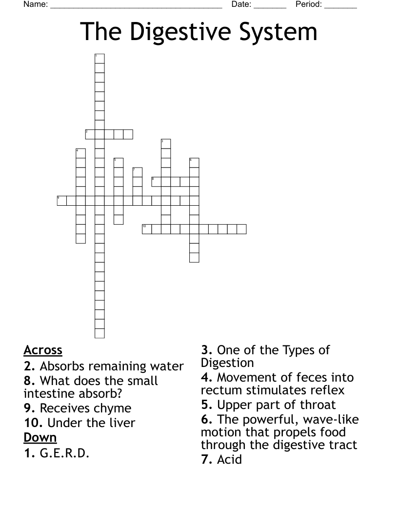 The Digestive System Crossword - WordMint