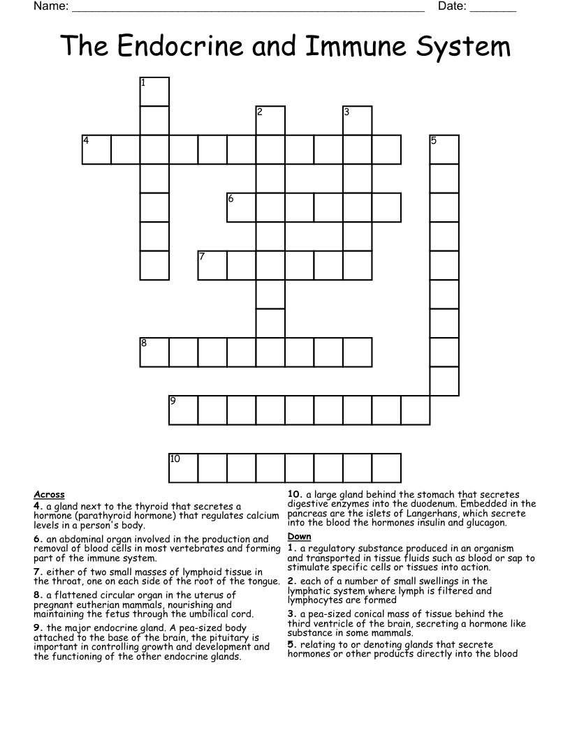 The Endocrine and Immune System Crossword WordMint