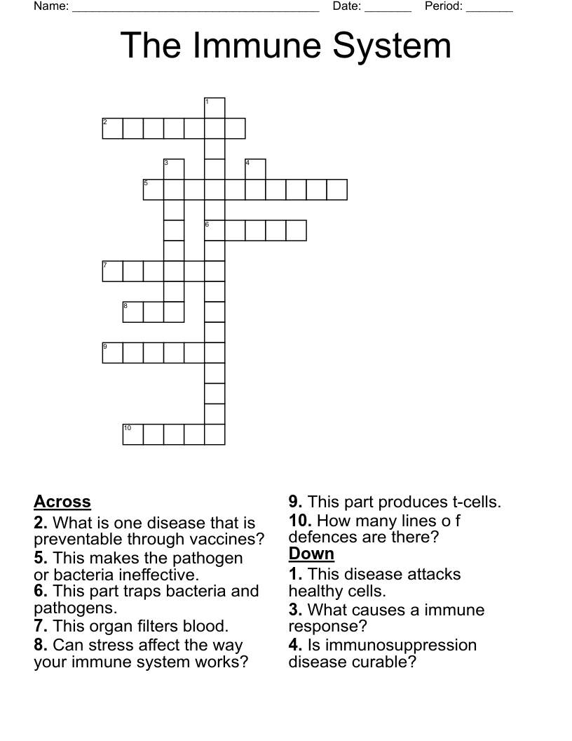 The Immune System Crossword WordMint