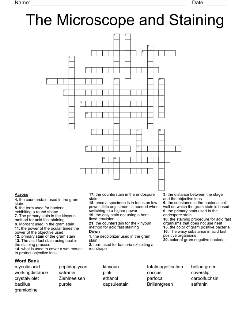 The Microscope and Staining Crossword WordMint