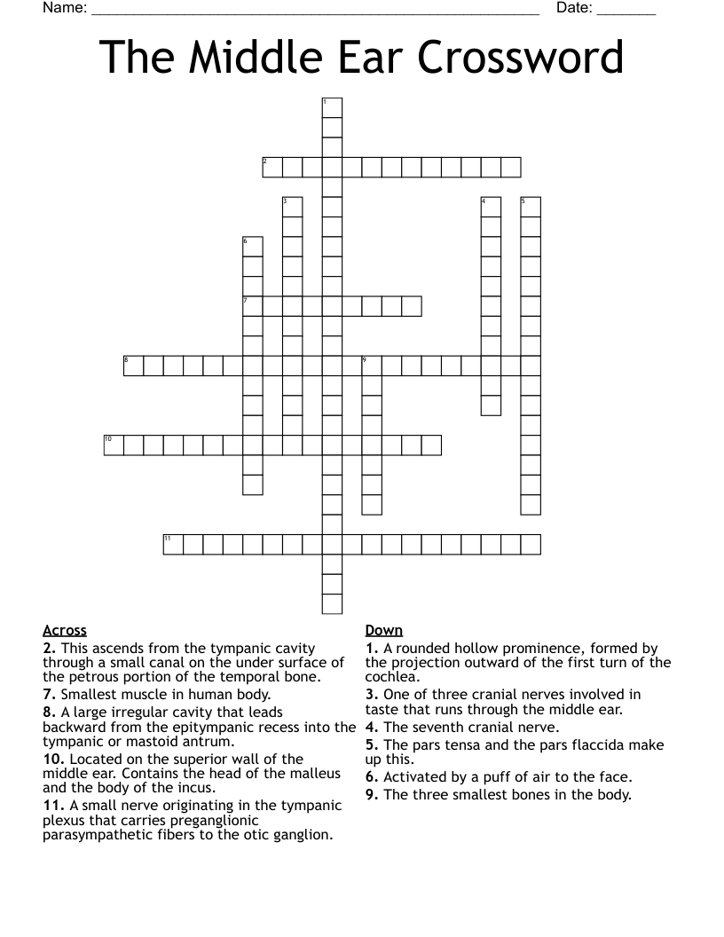The Middle Ear Crossword WordMint