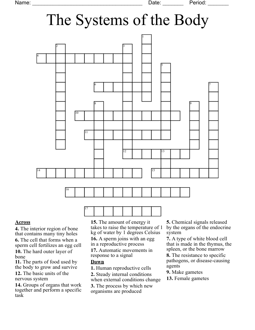 The Systems of the Body Crossword - WordMint
