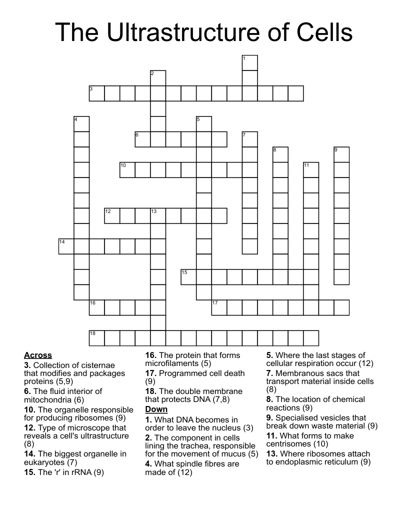 The Ultrastructure of Cells Crossword WordMint