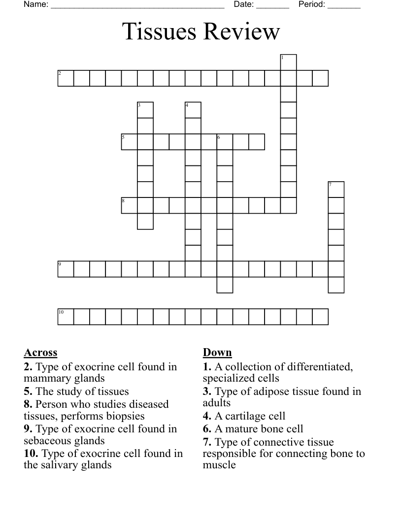 Anatomy Vocabulary Crossword WordMint