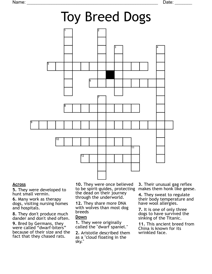 Toy Breed Dogs Crossword WordMint