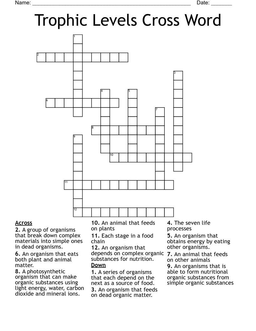 Trophic Levels Cross Word WordMint