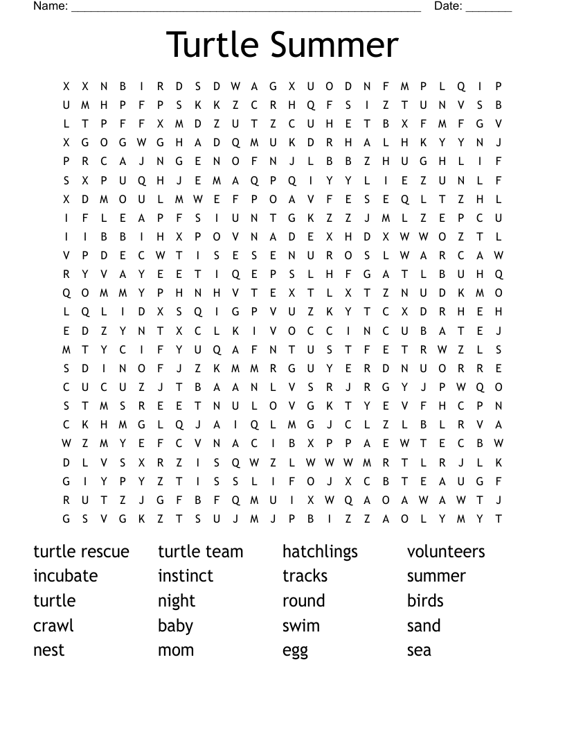 Turtle Summer Word Search WordMint