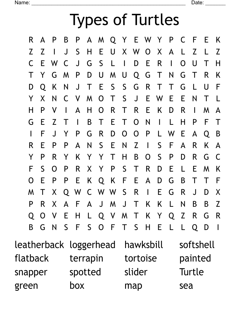Types of Turtles Word Search WordMint