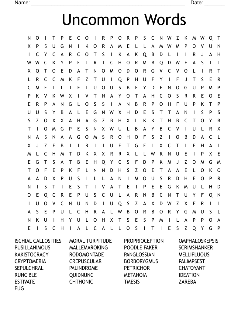Words Word Search WordMint